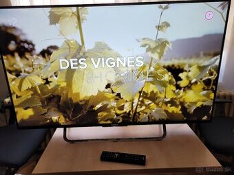 Sony Bravia KD-49X8305C