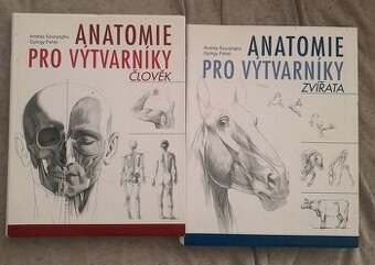 Anatomie pro vytvarniky