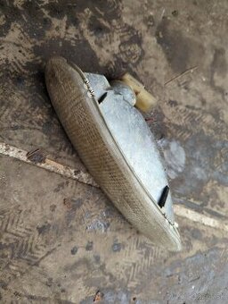 Volkswagen New Beetle Blinkr, blikač, smerovka ľavý