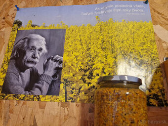 Včelí peľ fermentovaný 720ml sklo