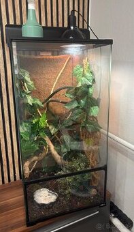 Terarium ReptiPlanet