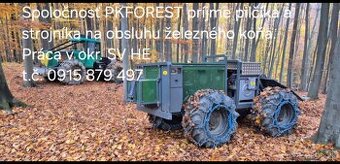 Pilčik,strojnik