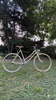 Mestský vintage bicykel - 1
