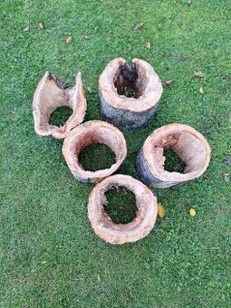 Dutý kmeň na búdky pre vtakov