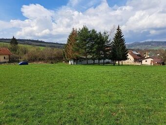 reštitučný nárok