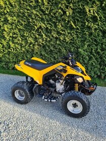 can am ds 250 2015 - 1