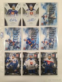 Hokejové karty - 2024 Hokejove Slovensko, NHL ponúkam/zháňam