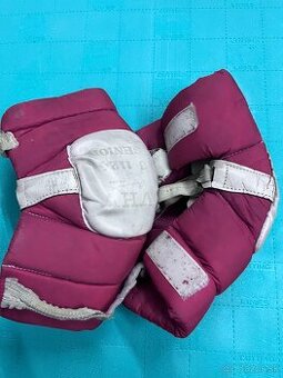 Hokejove retro lakte