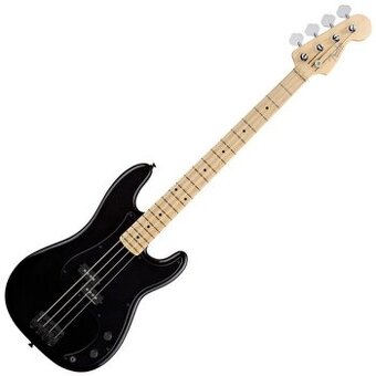 Bass fender