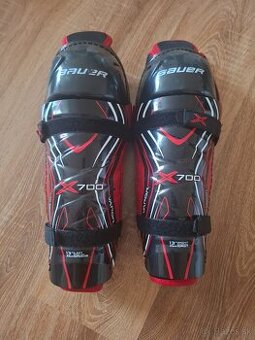 Hokejove holene Bauer