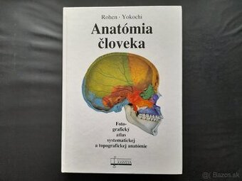 Anatómia človeka