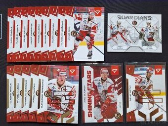 SHL 2024/25