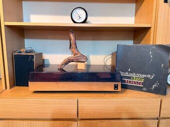 Veľkometrážny 2iz. byt po známom umelcovi