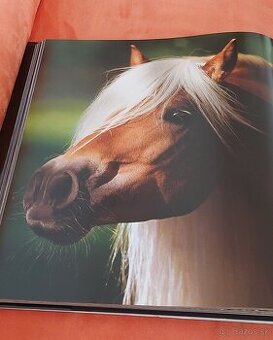 KONE -Temperament a elegancia vo fotografiách G. Boiselle