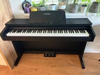 Medeli DP260