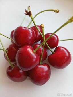 Čerešne