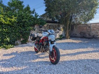 Ducati monster 797 plus