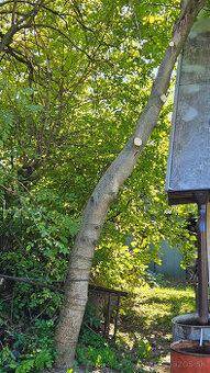 Ponúkam orechové a čerešňové drevo