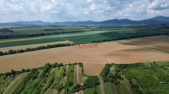 Predaj vinice a pozemku pri Zlatých Moravciach – Dolné Vinic