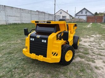 CAT BEC 8166