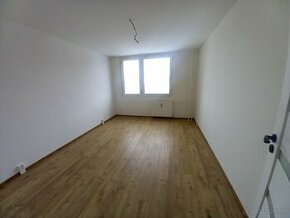 Spacious apartment for rent - Moldavská