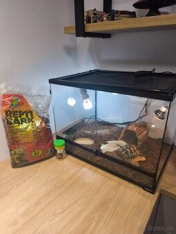 Korytnačka + terarium