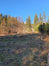 Predam stavebny pozemok Sklabinsky Podzamok 2000 m2