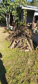 Darujem drevo na zimu