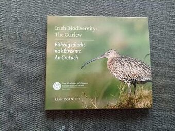 Euromince Írsko 2024