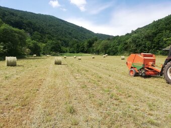 Horské lúčne seno, luceren.