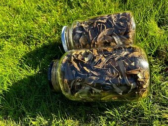 Kozaky dubaky a aj mix týchto dvoch druhov