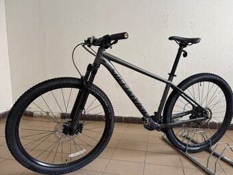 Specialized Roockhopper Comp 2X 29 L