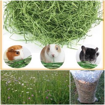 Seno pre drobné cicavce balené 1 KG posielam poštou
