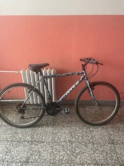 Bicykel - 1
