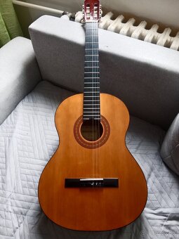 gitara Hohner