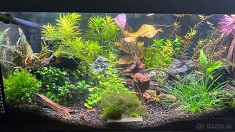 Zabehnuté akvárium 60x30x30