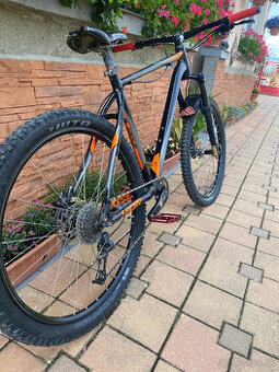 Kellys Spider 50