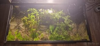 Akvárium 54l