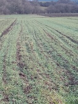 PREDÁM POZEMOK,,,ĎURČINÁ