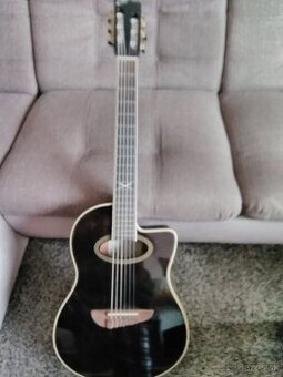 Predam elektroakusticku klasicku git.EKO