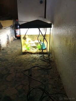 Predám akvárium zo zariadenim