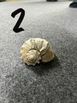 Príslušenstvo do akvaria