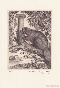 predam grafiku od Peter Klucik 2