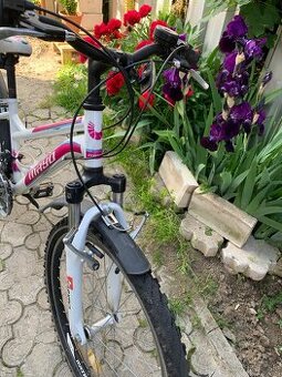 Bielo ružový bicykel