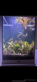 Predám 100L akvárium