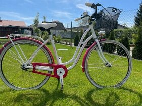 Cestny bicykel - 1