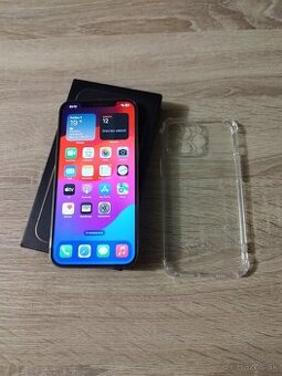 iPhone 12 Pro Max / 256GB Gold