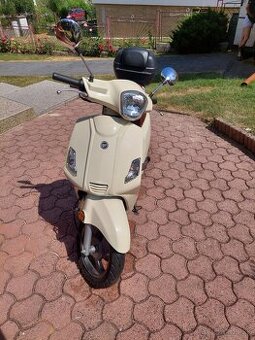 Zahara 50