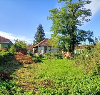 Na predaj starý dom na 19, 7 á pozemku Vráble- zľava - 1