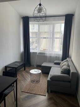 Zaujímavý 1 izbový apartmán Majerníkova